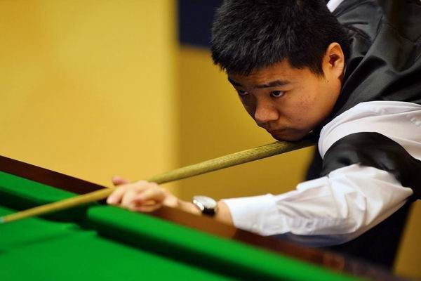 但灰熊似乎 但灰熊似乎